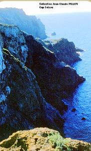 CAP FALCON CONTREJOUR